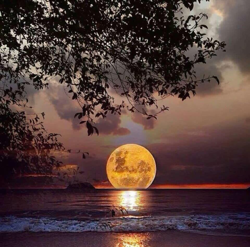 Moon, Ocean !!!!!