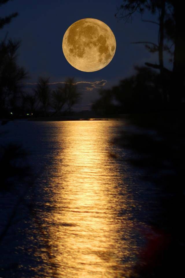 moon on lake 45rty